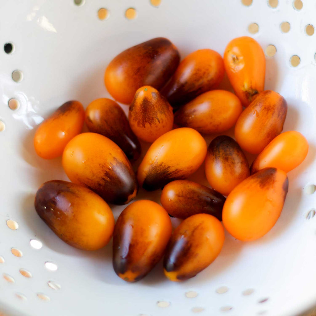 Tomate Indigo Pear Drop