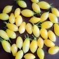 Semillas de Tomate Indigo Pear Drop
