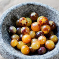 Semillas de Tomate Blue Cream