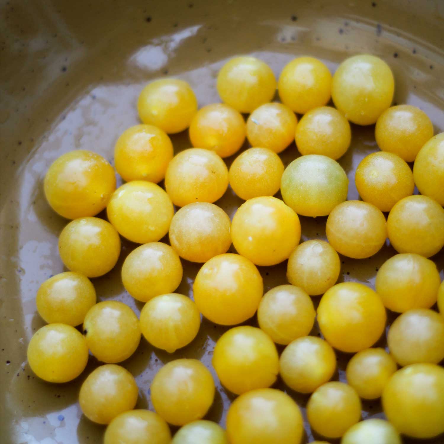 Semillas de Tomate White Currant 