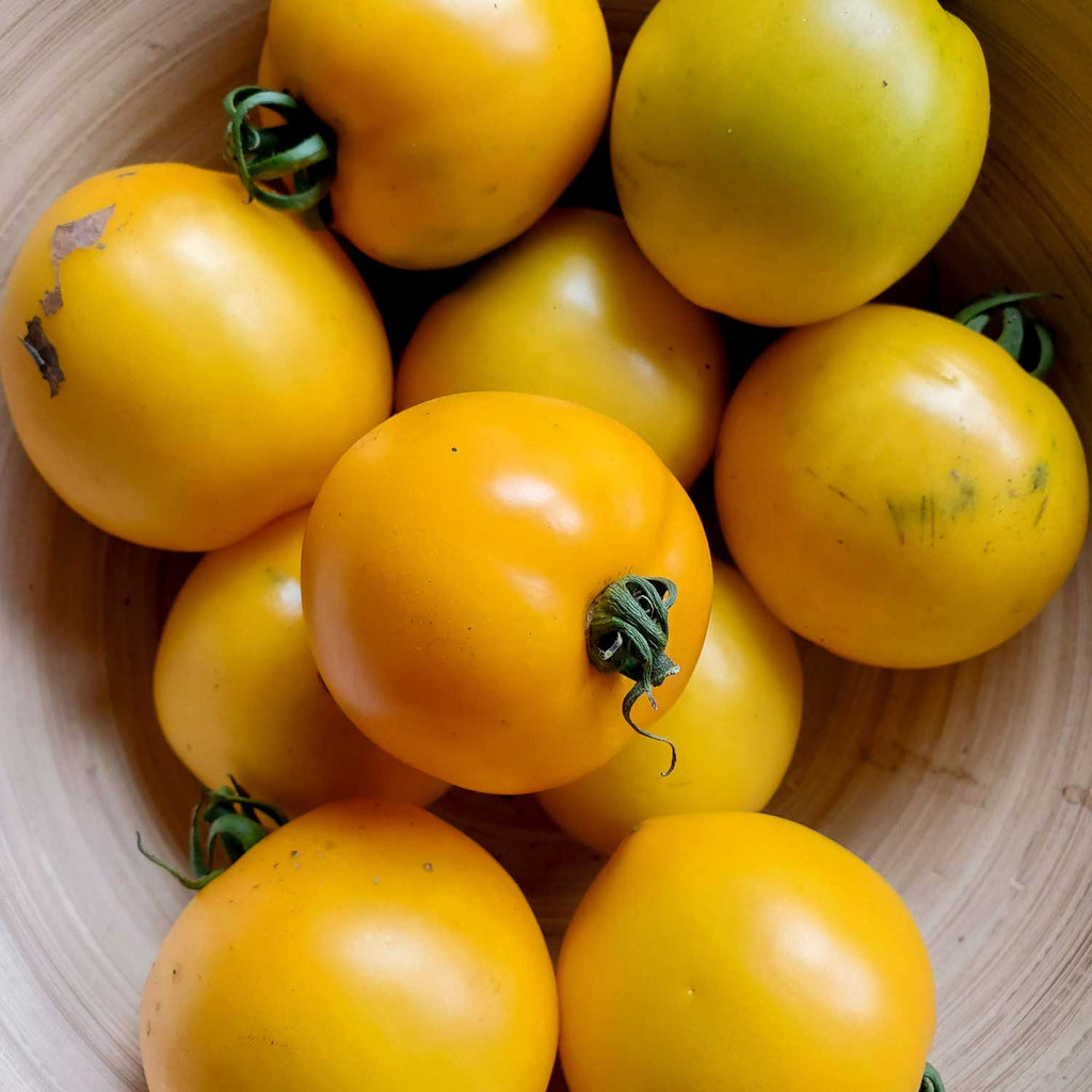 Semillas de Tomate Lemon Boy