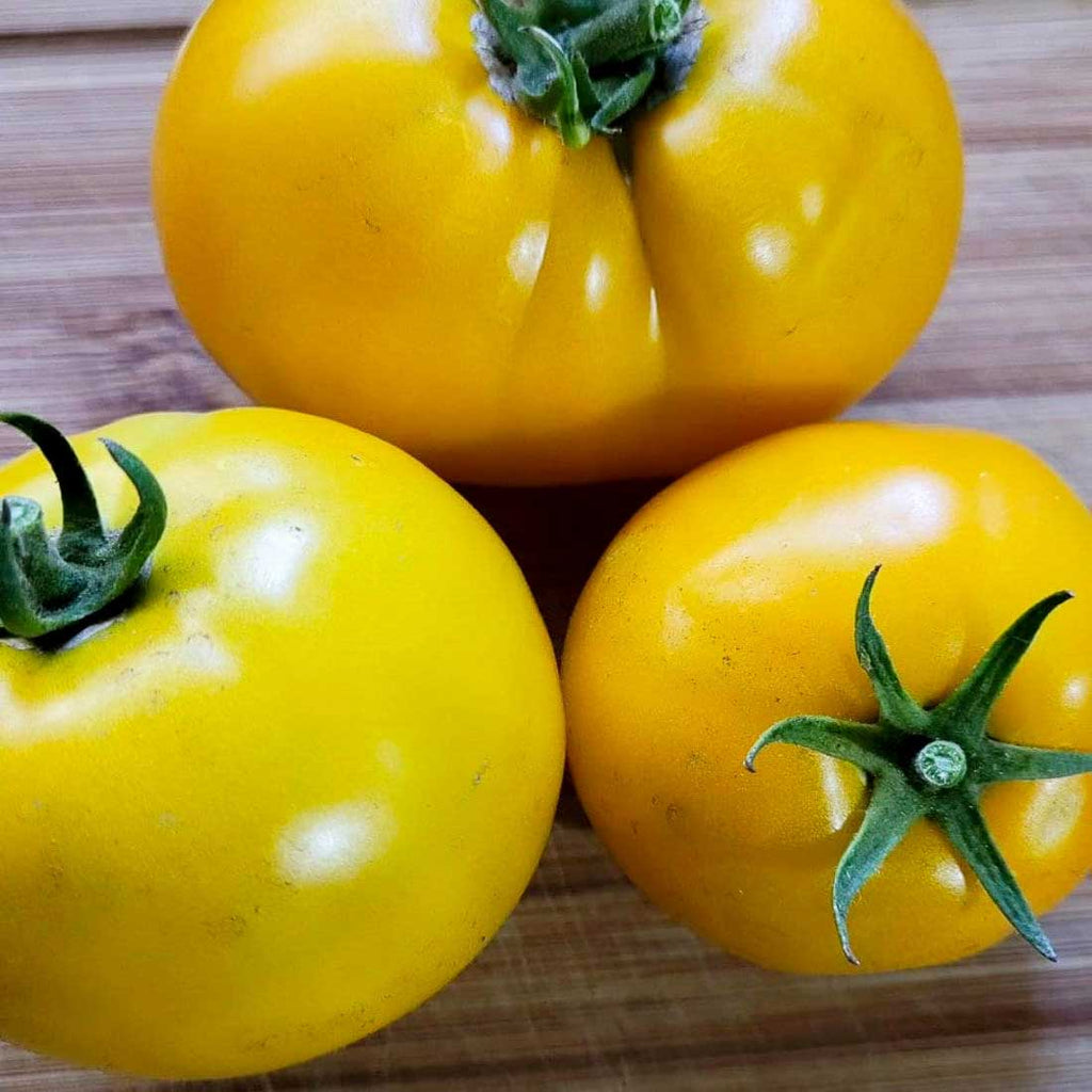 Semillas de Tomate Lemon Boy