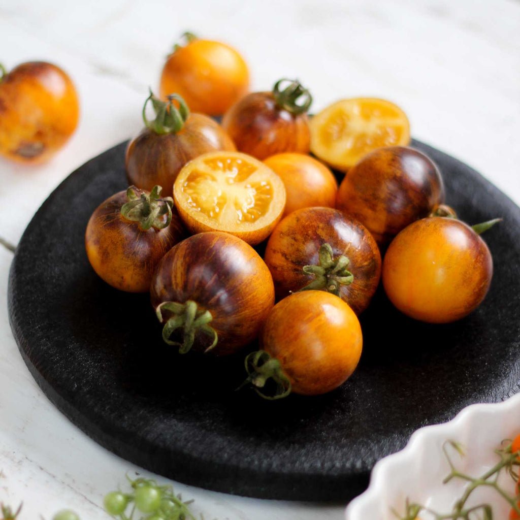 Tomate Primary Color