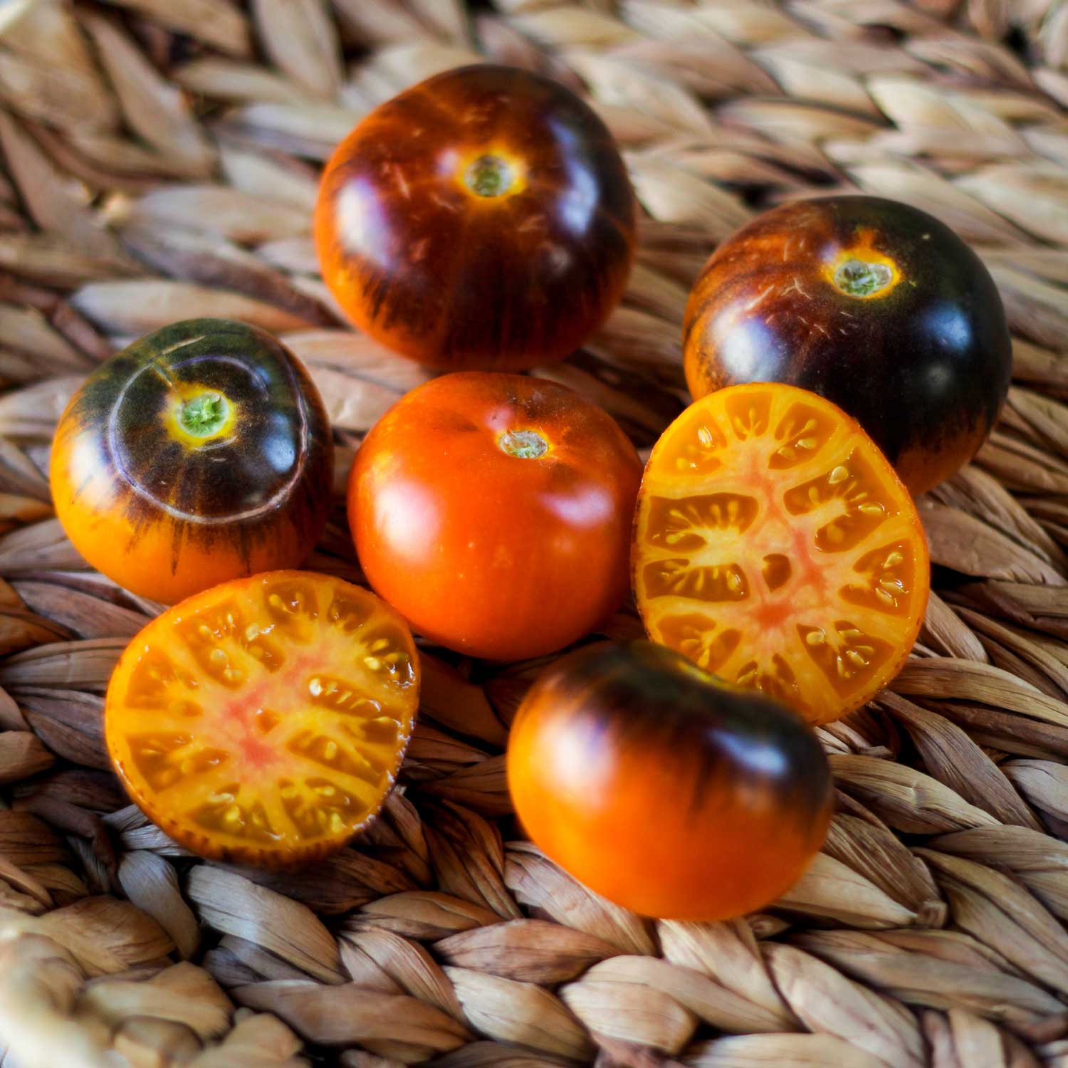 Semillas de Tomate Lucid Gem