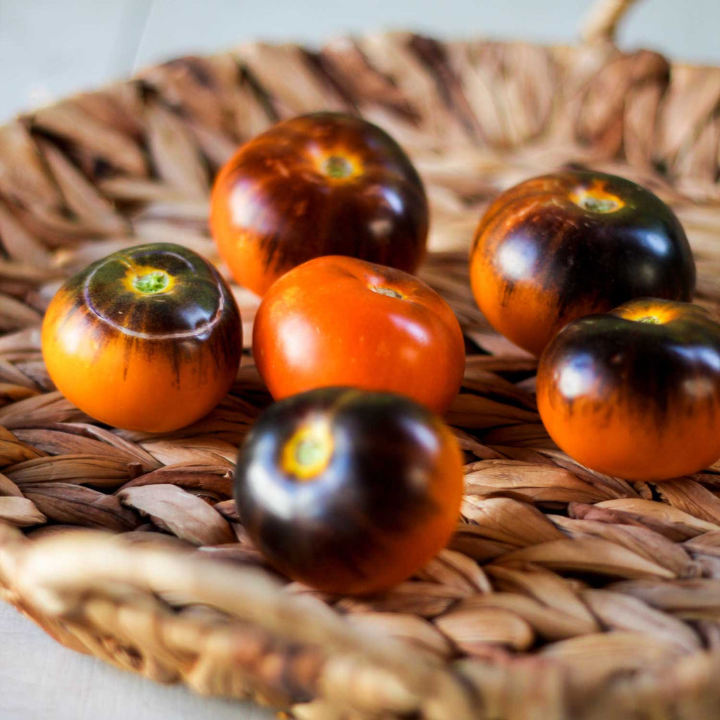 Semillas de Tomate Lucid Gem