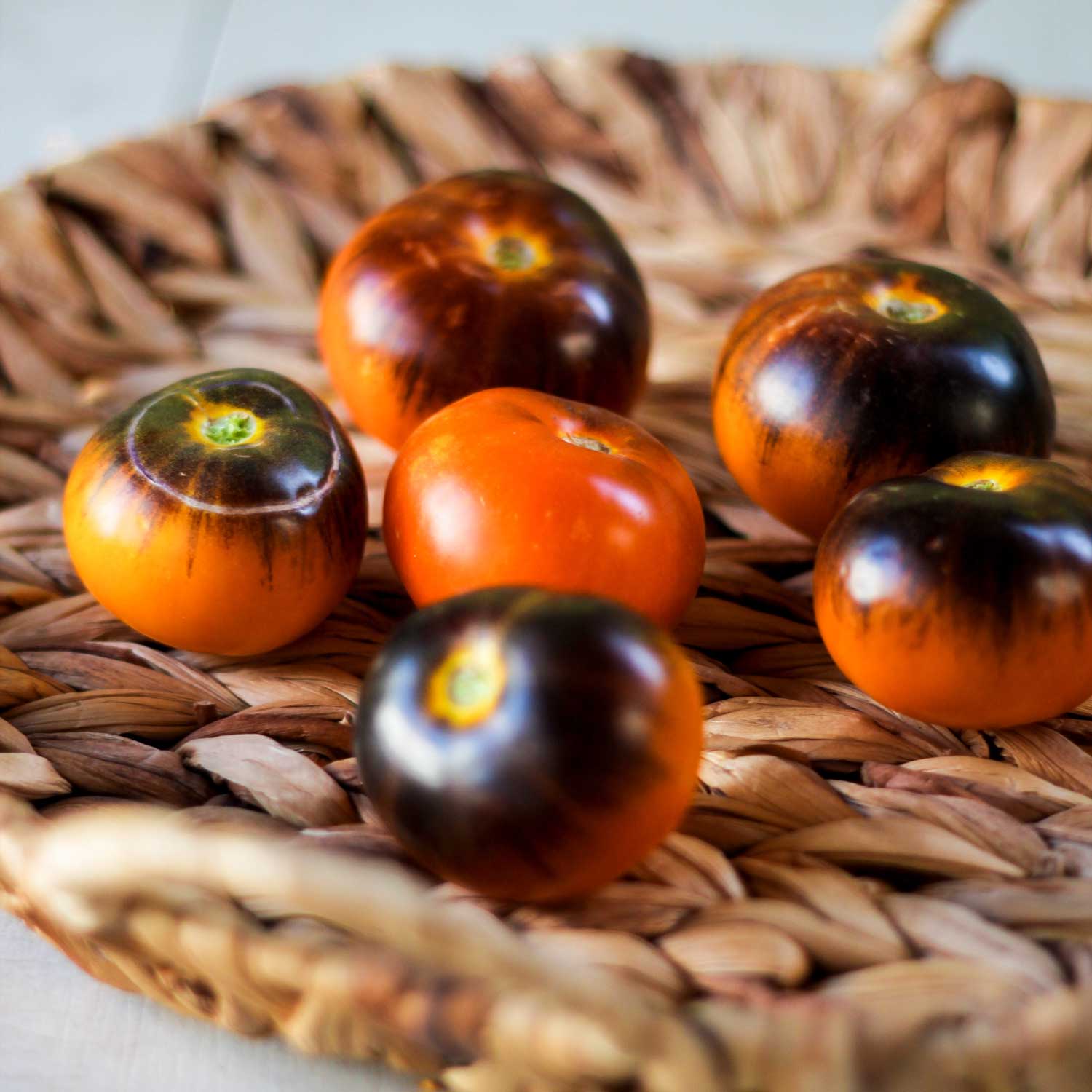 Semillas de Tomate Lucid Gem
