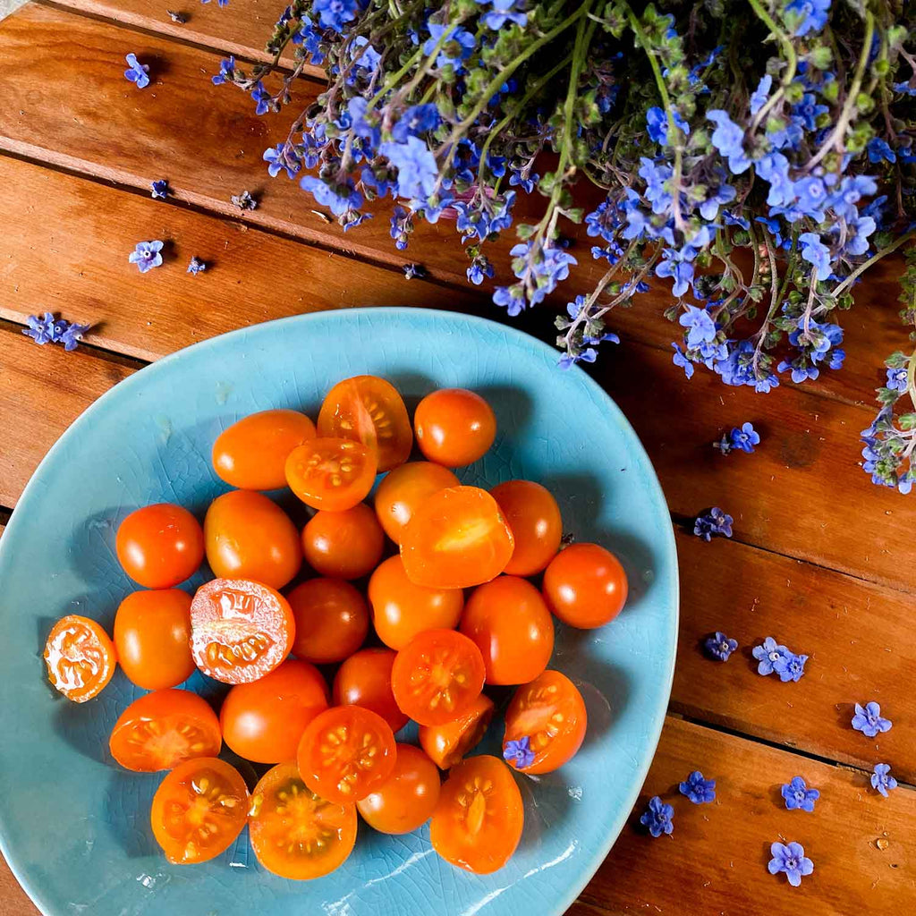 Semillas de Tomate Cherry Naranjo