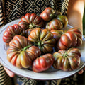 Semillas de Tomate Zapoteca Brown Flesh