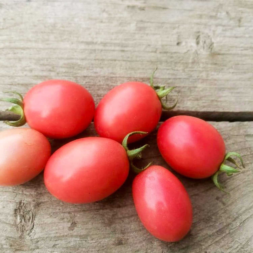 Semillas de Tomate Ei Von Phuket