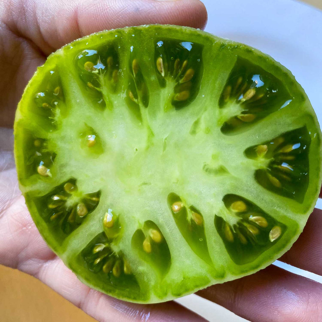 Semillas de Tomate Green Giant