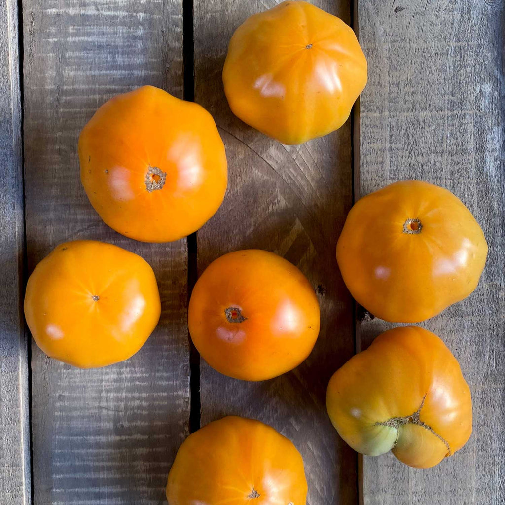 Semillas de Tomate Yellow Bulgarian
