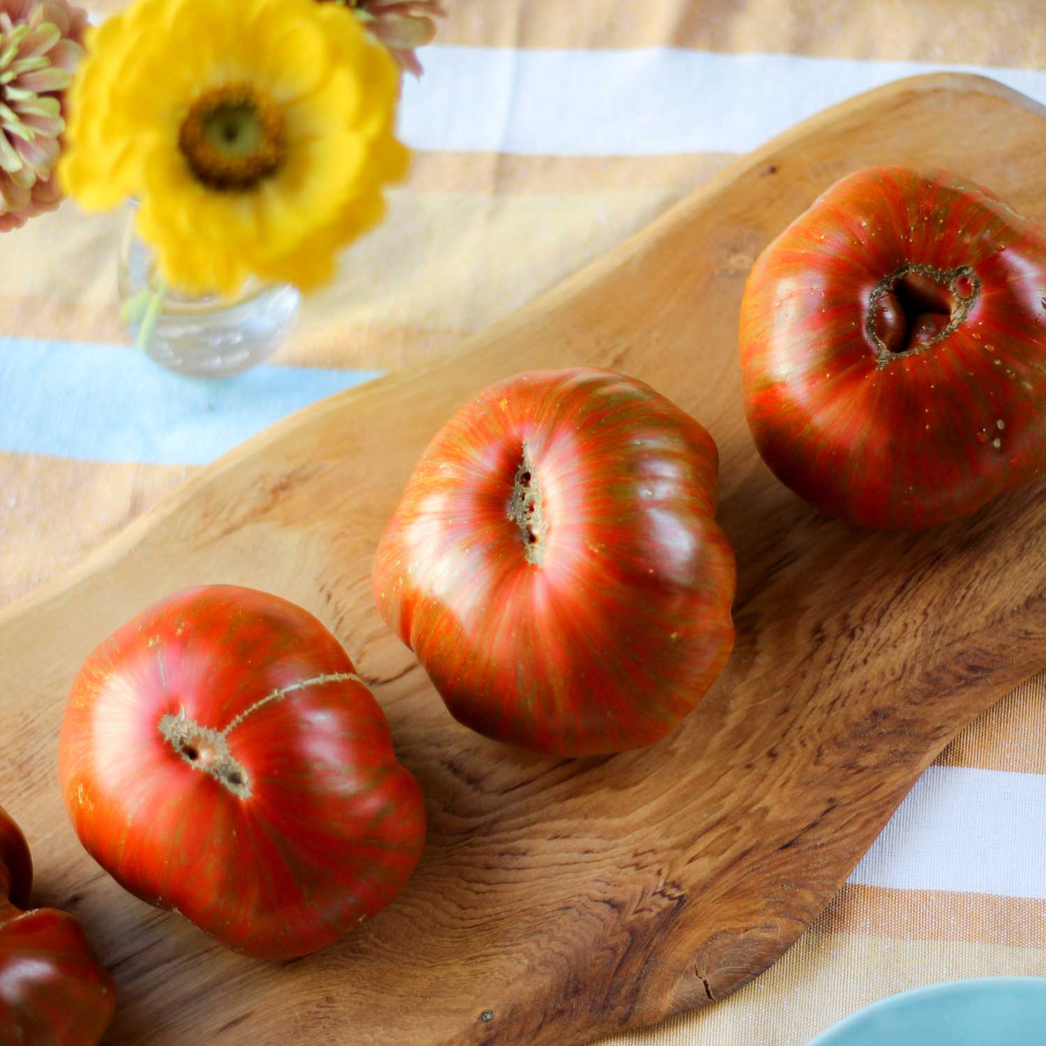Tomate Chocolate Stripes