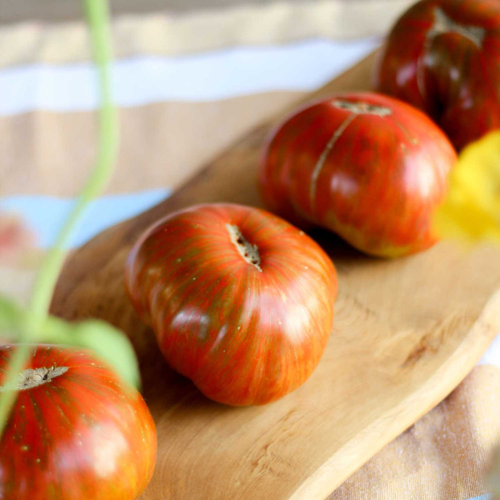Tomate Chocolate Stripes