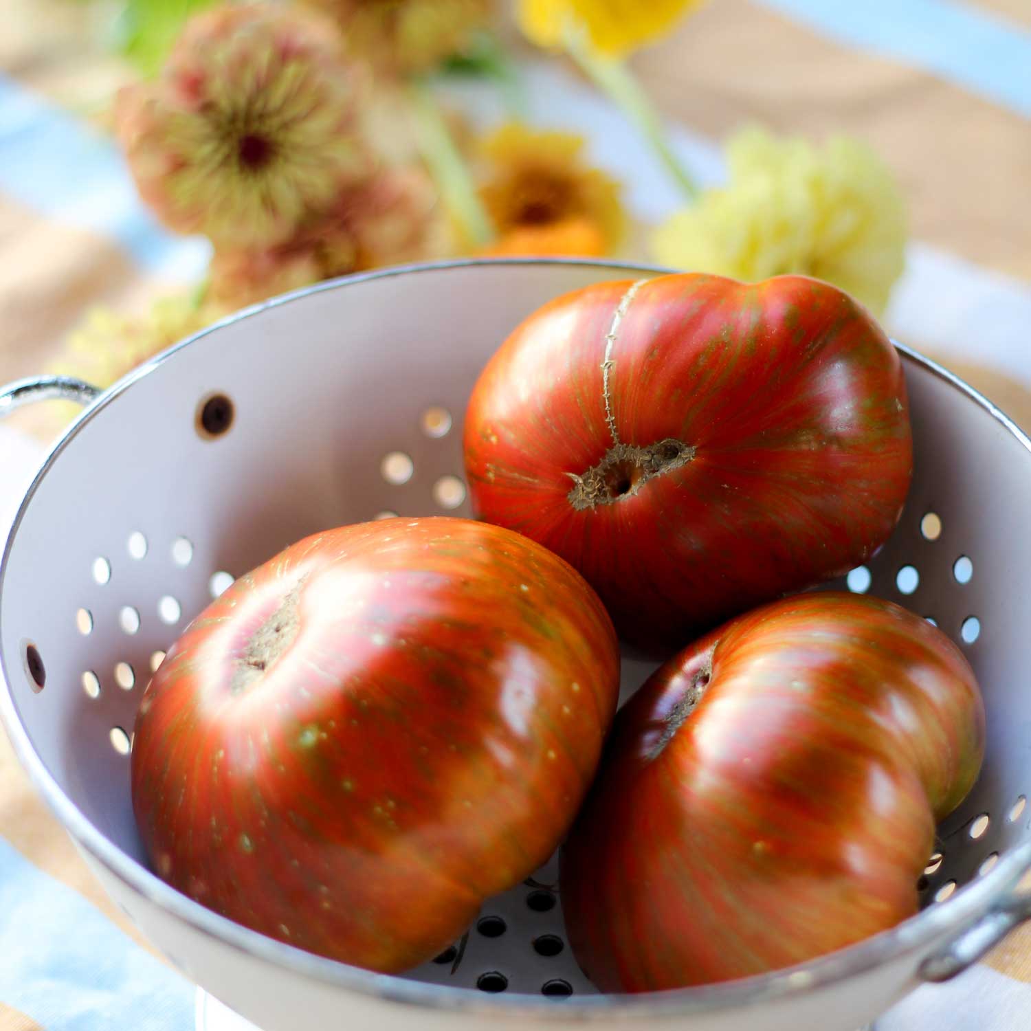 Tomate Chocolate Stripes