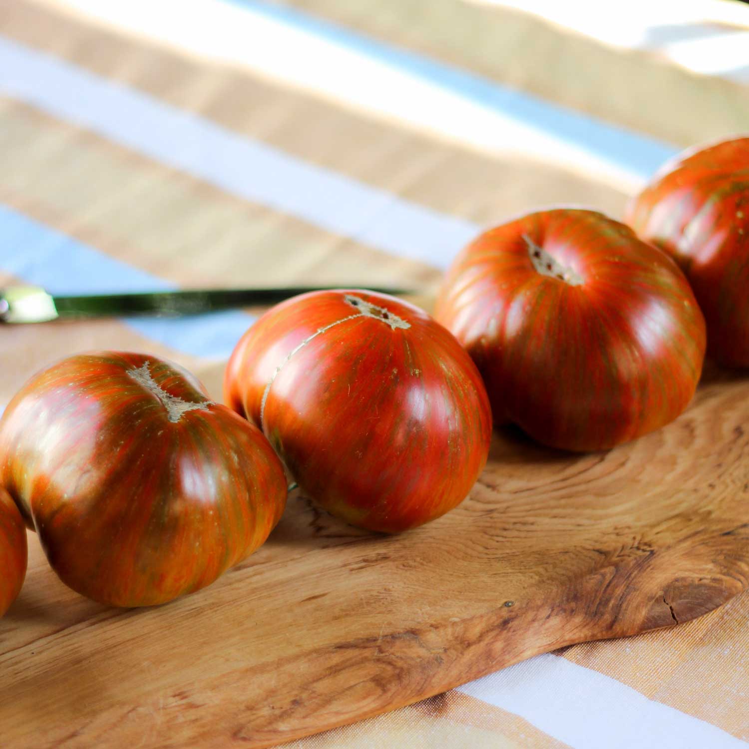 Tomate Chocolate Stripes