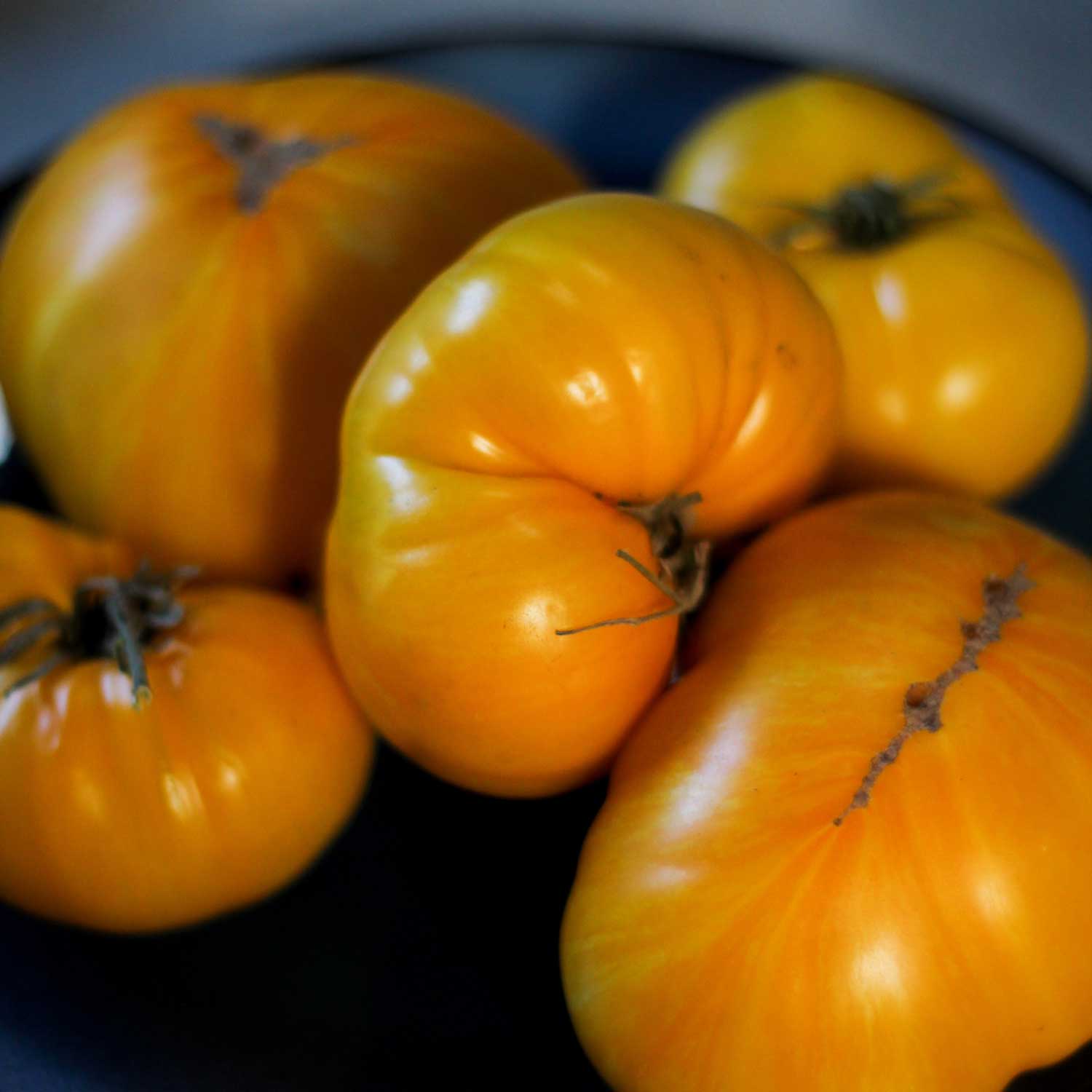 Semillas de Tomate Pork Chop