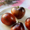Semillas de Tomate Rebel Starfighter