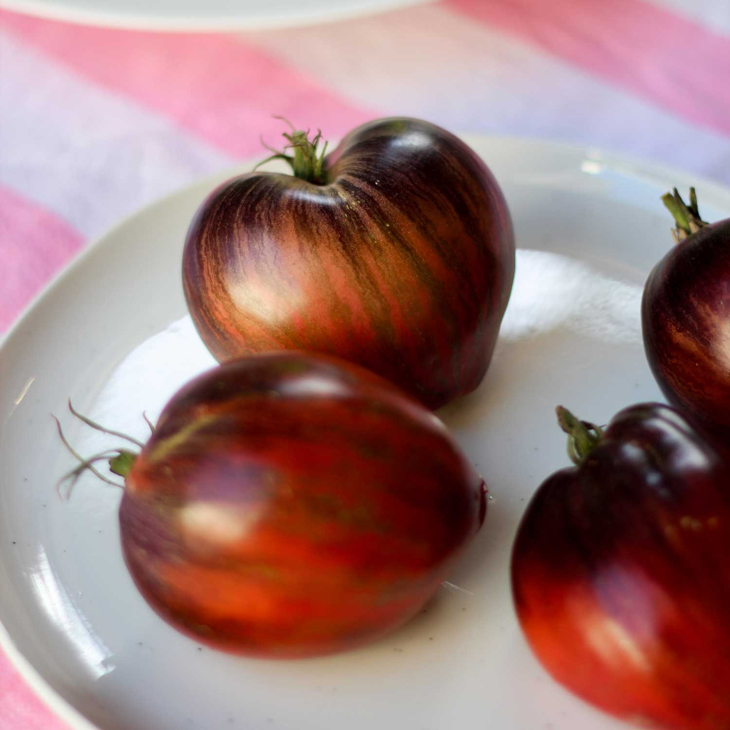 Semillas de Tomate Rebel Starfighter