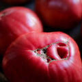 Semillas de Tomate Rosado