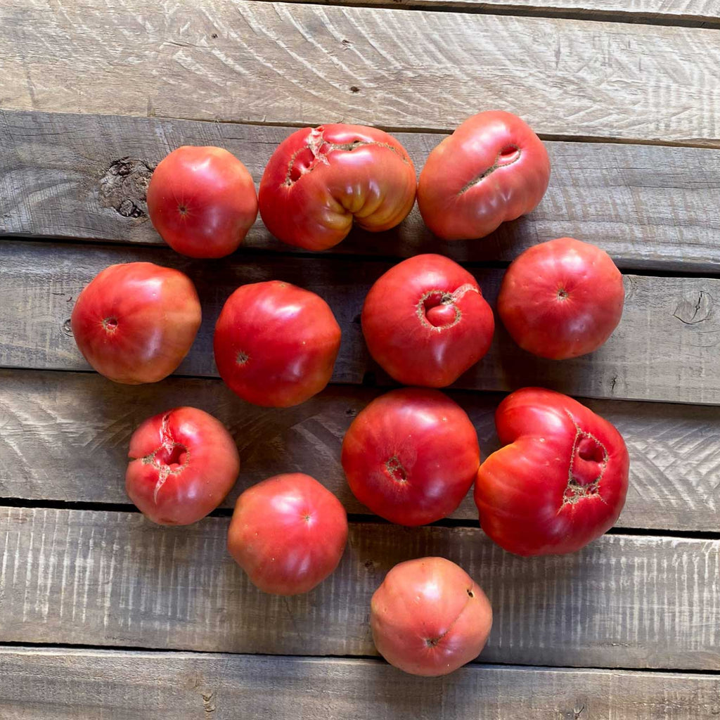 Semillas de Tomate Rosado