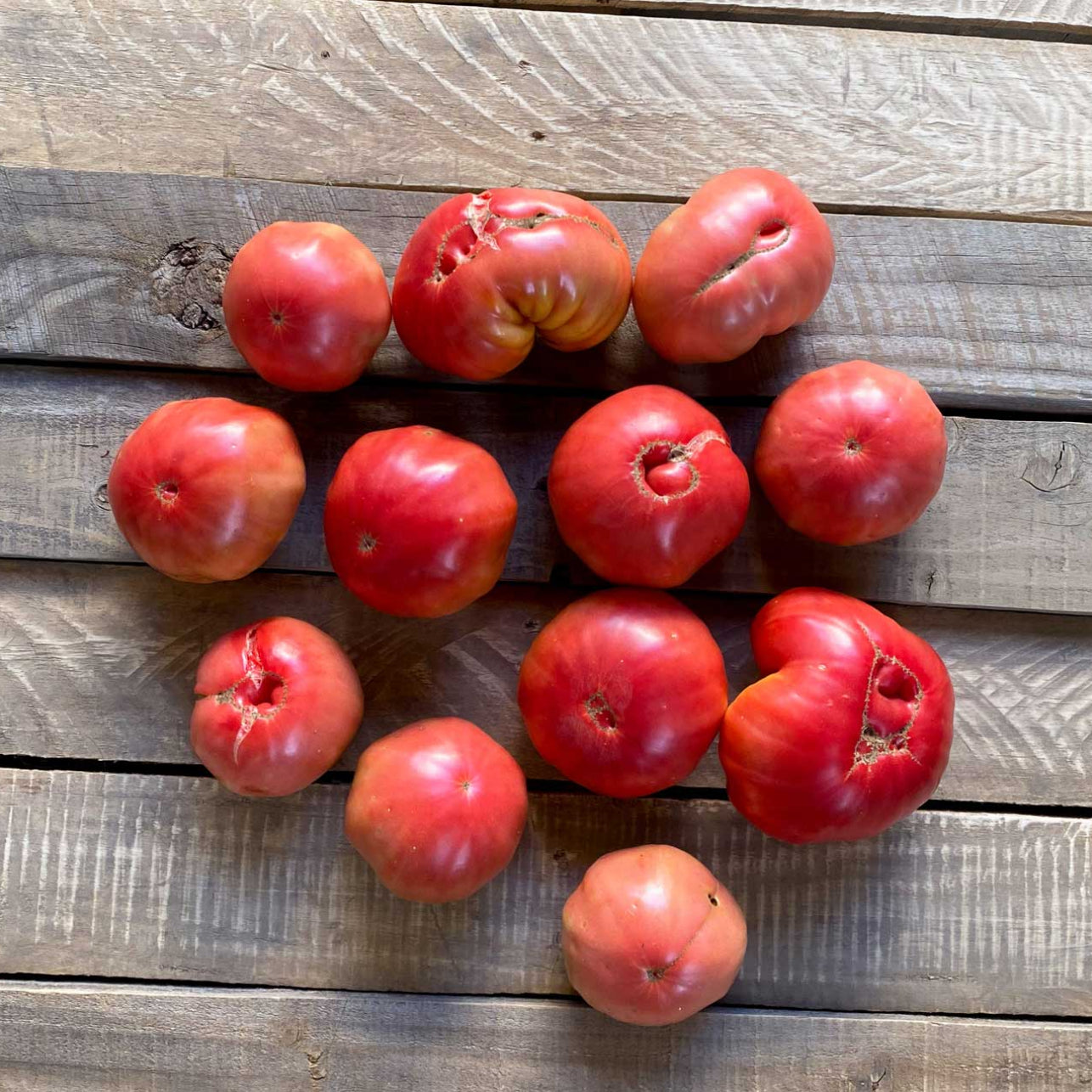 Semillas de Tomate Rosado