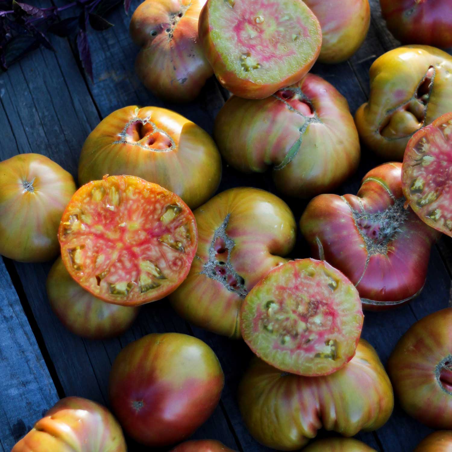 Semillas de Tomate Ananas Noire
