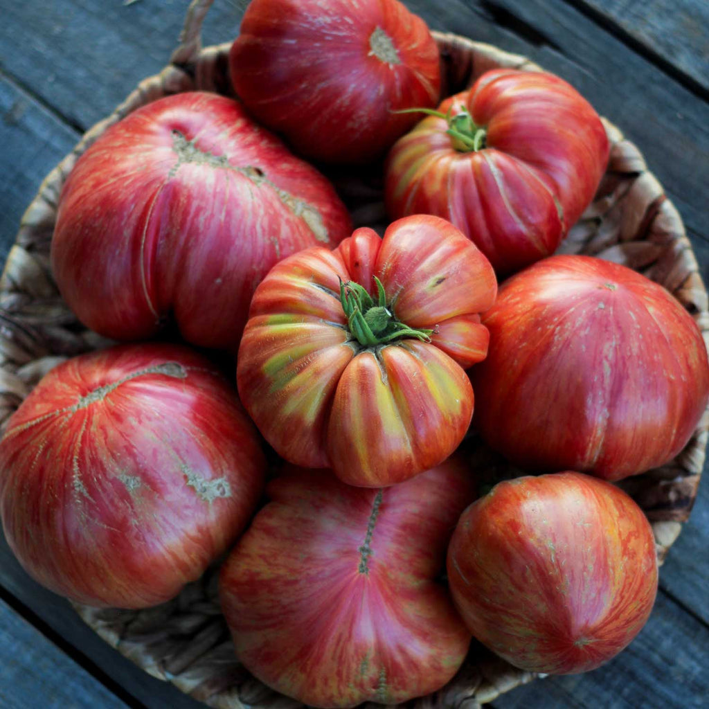 Semillas de Tomate Pink Jazz