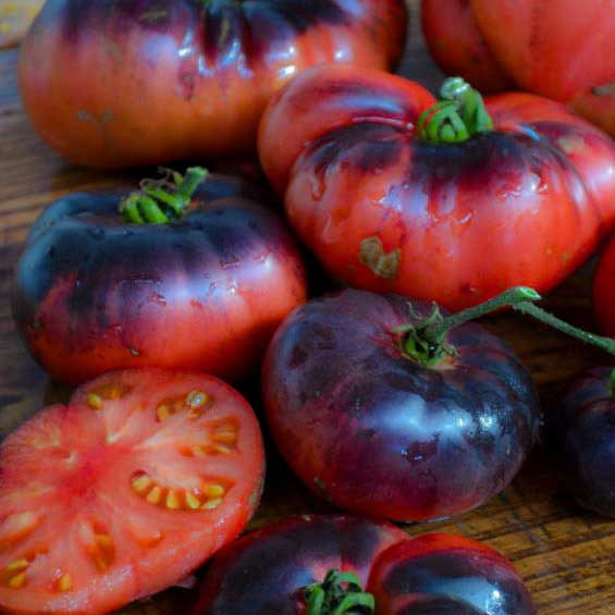 Semillas de Tomate Blue Beauty