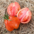 Semillas de Tomate Canestrino