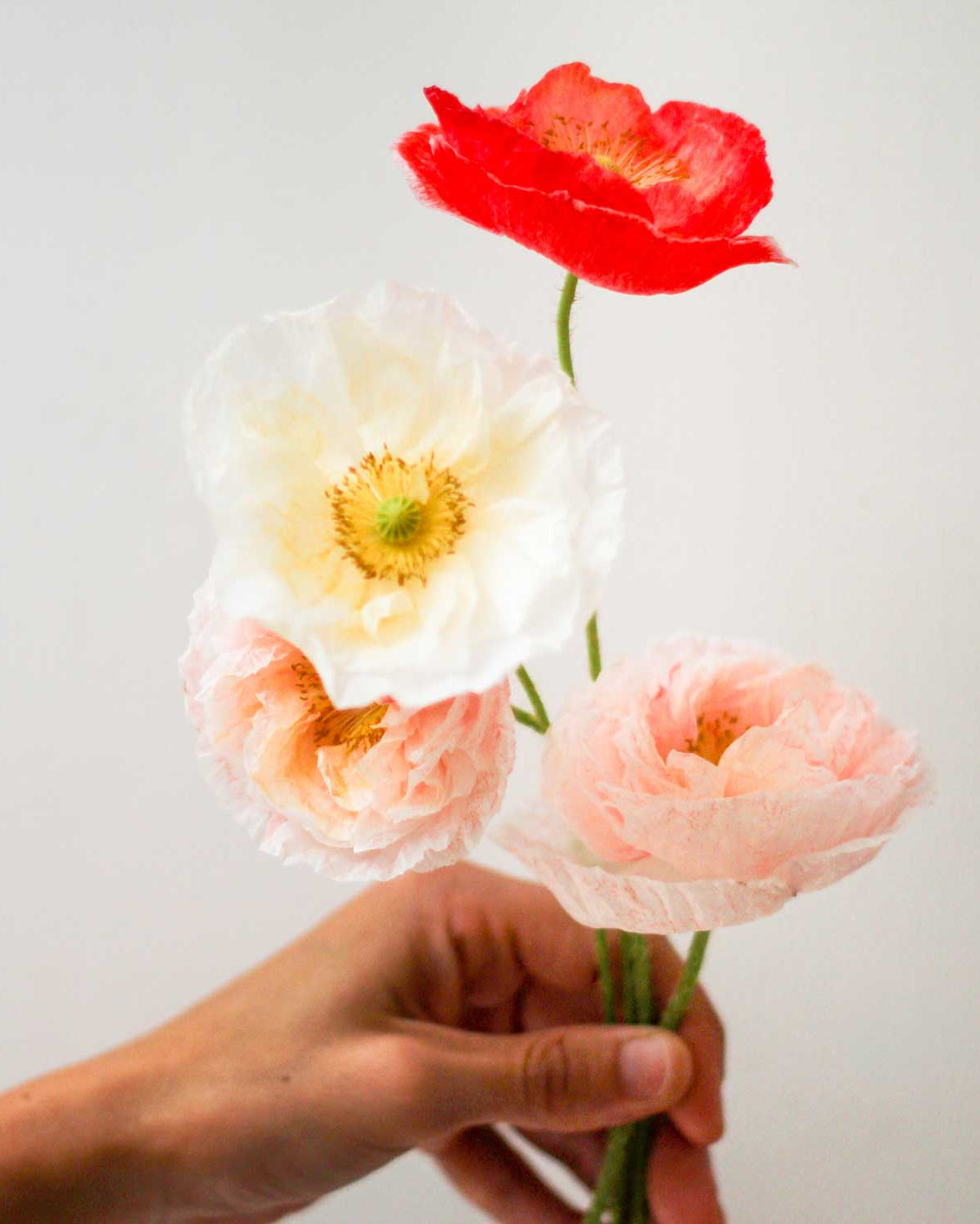 Semillas de Amapola Mix