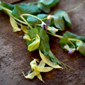 Arveja Sinhila amarilla