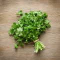 Cilantro