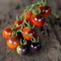 Tomate Arándano